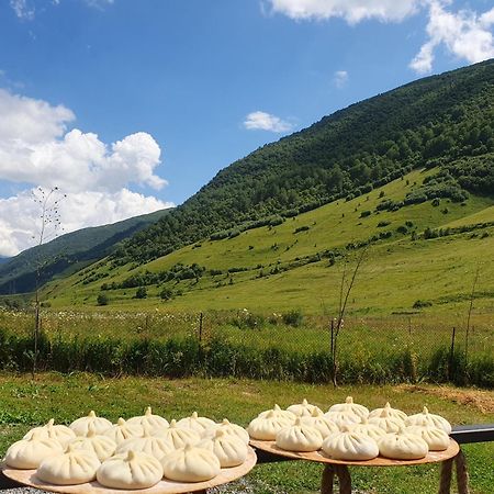 Cottage Garshemo Kazbegi エクステリア 写真